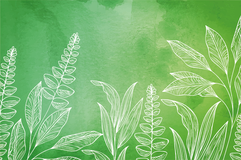 Original grønn farge med bladplater - Tenstickers