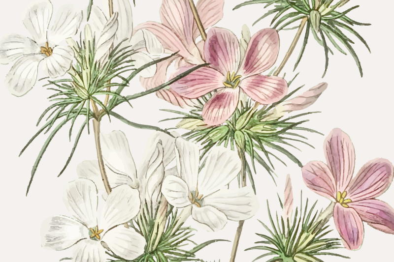 Spisebrikke original blomster botanisk arrangement - Tenstickers