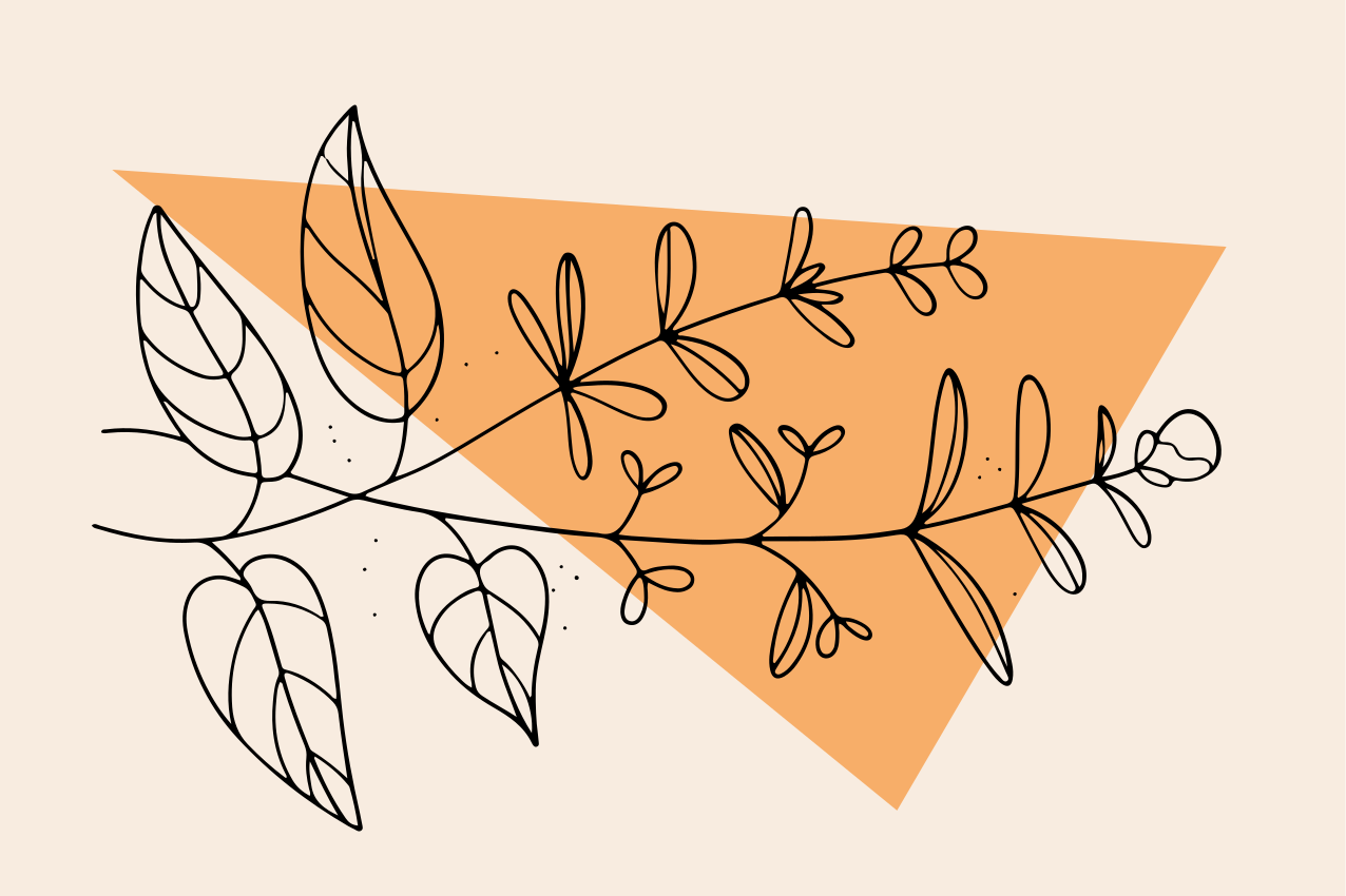 Fransk hage originale spisebrikker - Tenstickers