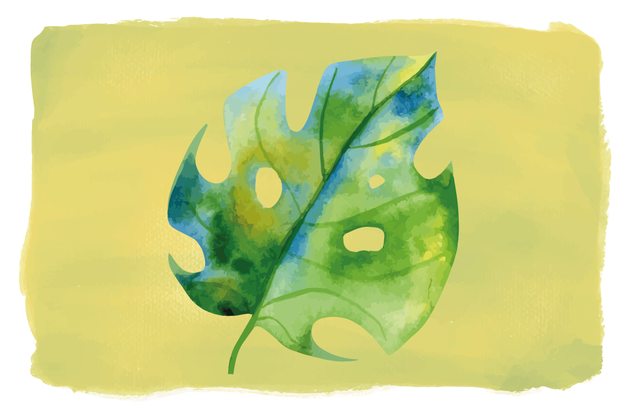 Spisebrikke original monstera bladdesign - Tenstickers