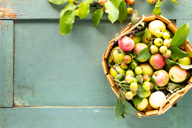 Spisebrikke hus fruktkurvarrangement - Tenstickers