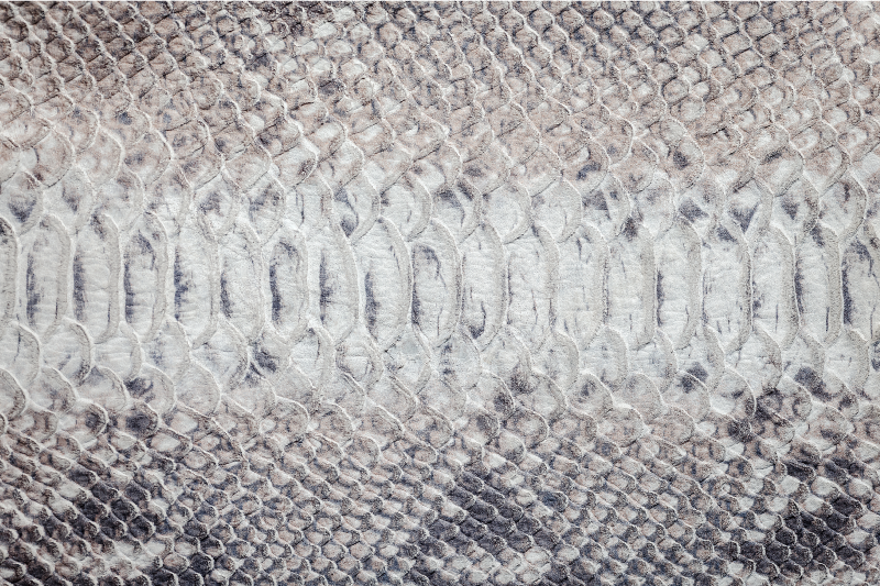 Spisebrikke tekstur slangeskinn tekstur - Tenstickers