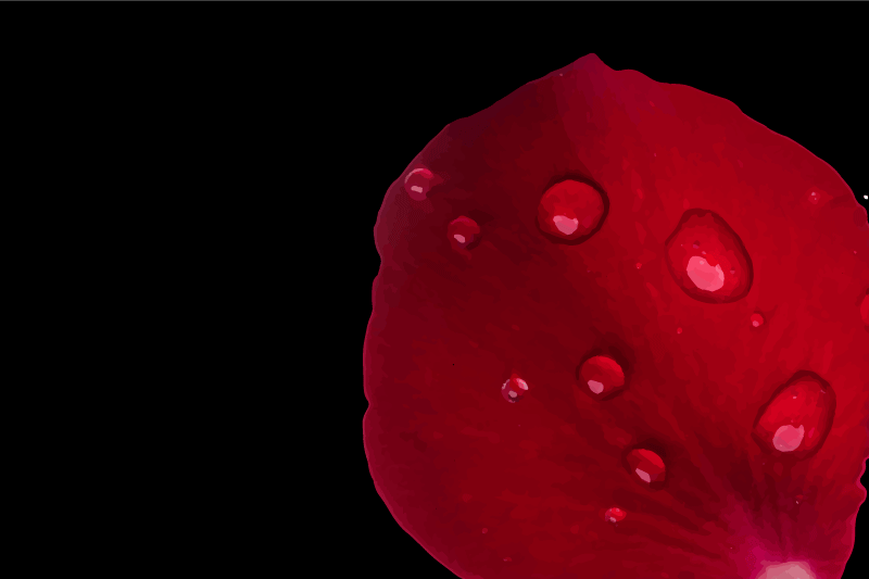 Rød petal overflate spisebrikke tekstur - Tenstickers