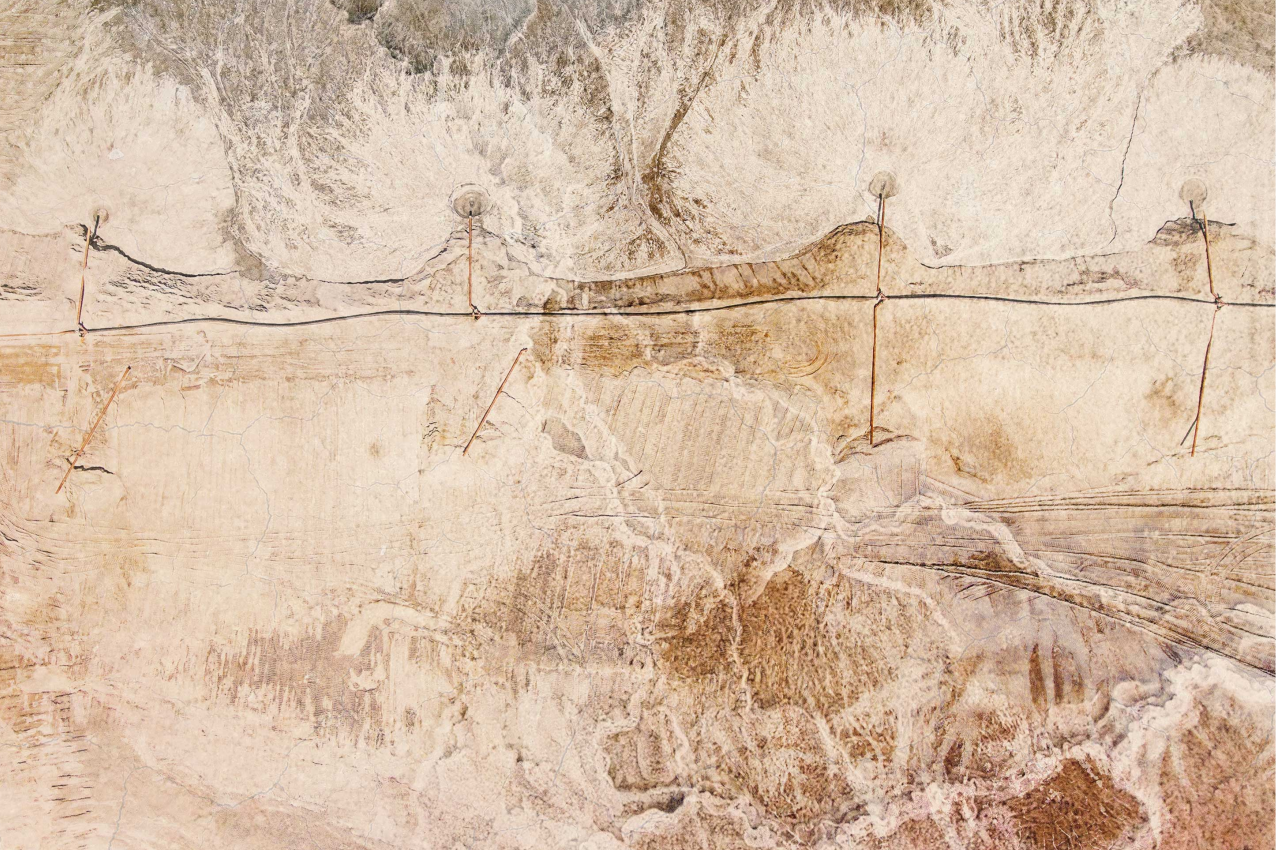 Spisebrikke tekstur i organisk treverkfinish - Tenstickers