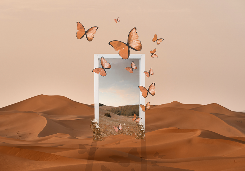 Spisebrikke original sommerfugler i ramme - Tenstickers