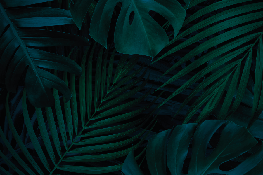 Tropisk bladstil spisebrikke tekstur - Tenstickers