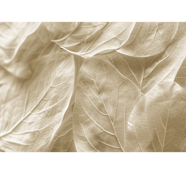 Store beige blader fototapet ekteskap - Tenstickers