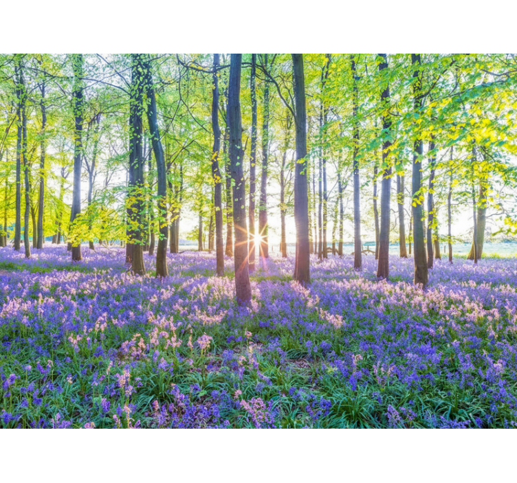 Fototapet skog naturinspirert modernisme - Tenstickers