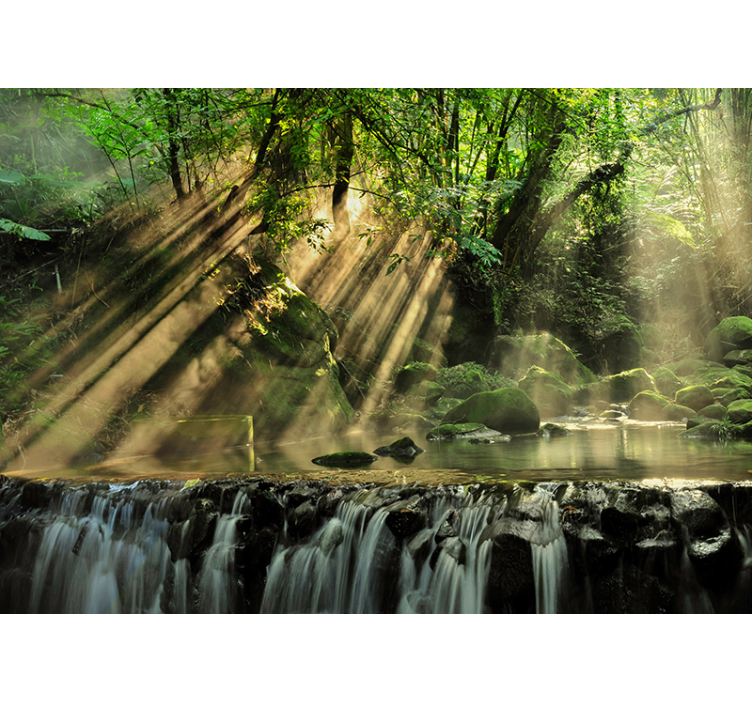 Det hemmelige skoglandskapet fototapet - Tenstickers