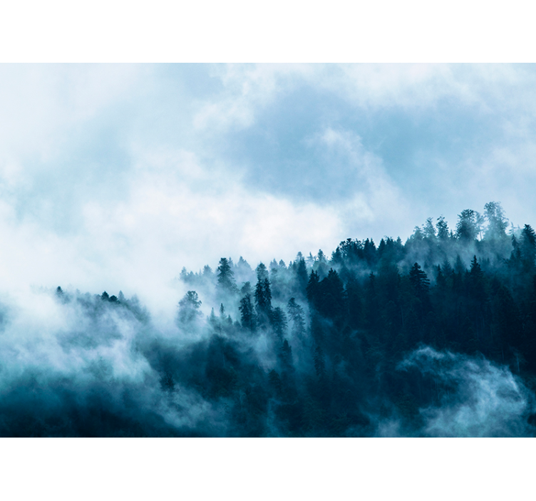 Vinter tåkete skogfototapet - Tenstickers