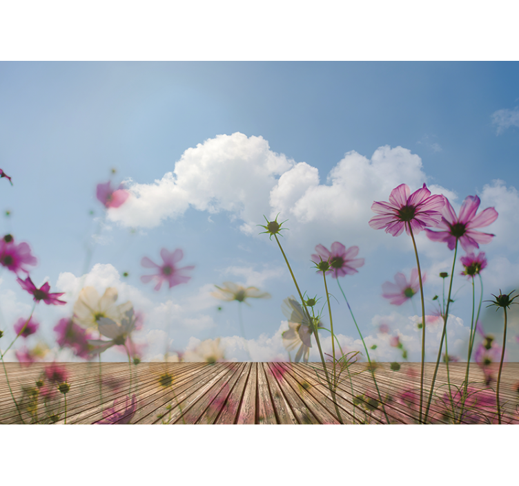 Delikate blomsteroppblomstringer fototapet blomster - Tenstickers