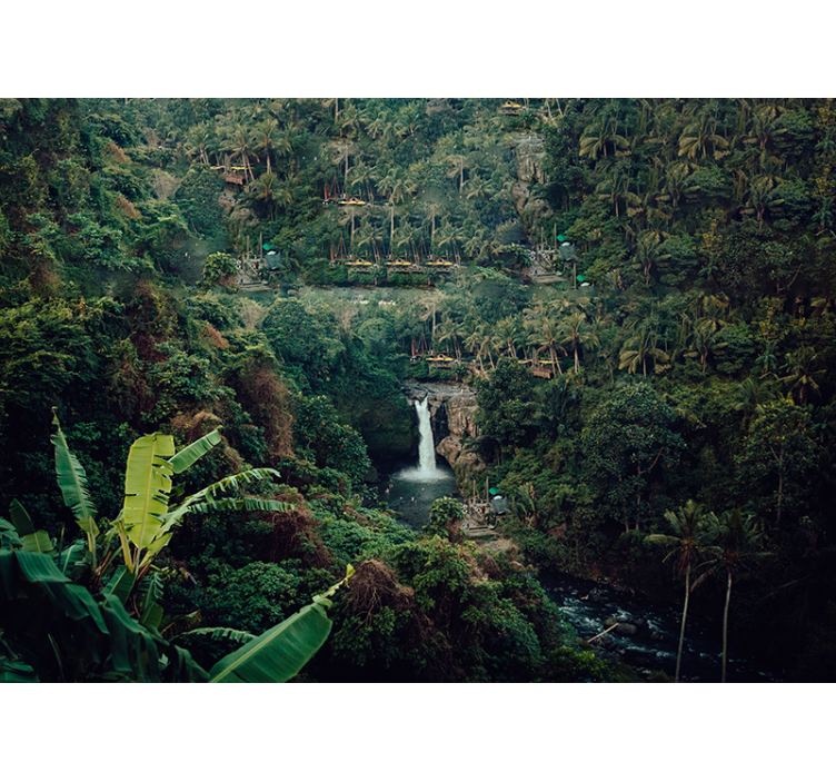 Fototapet natur lush jungle foss - Tenstickers
