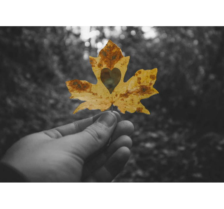 Hjerteformet blad fototapet natur - Tenstickers