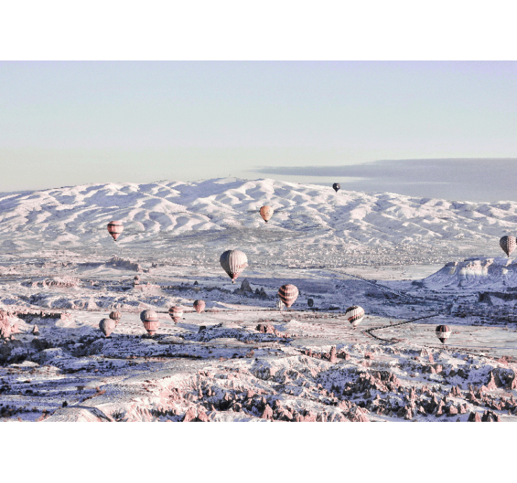 Varmluftsballonger landskap fototapet landskap - Tenstickers