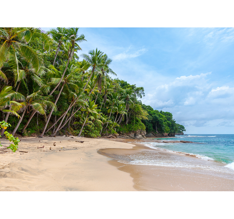 Fototapet natur tropisk kystoase - Tenstickers