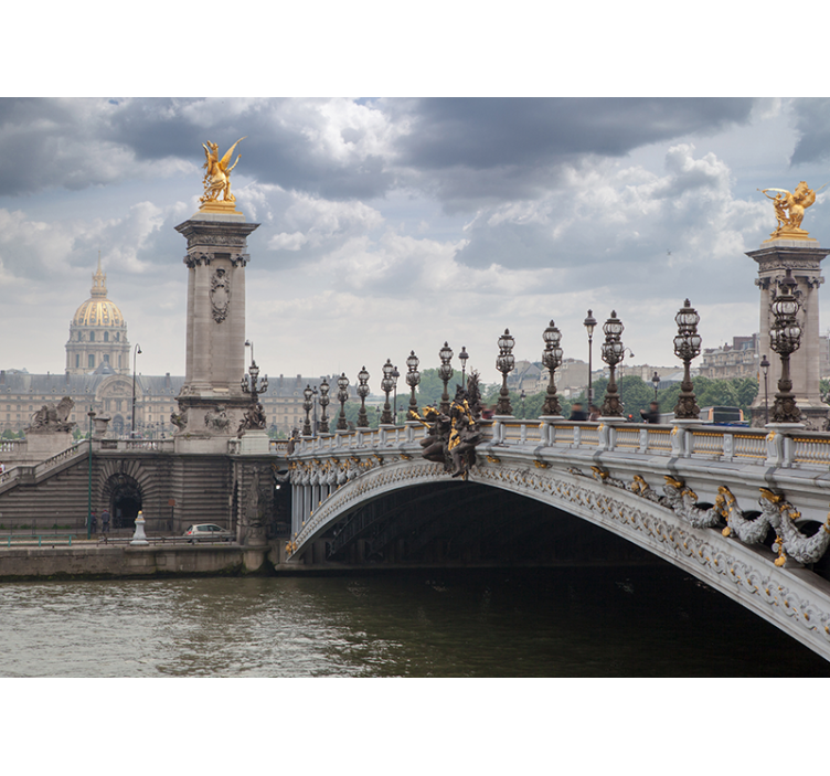 Utsikt over pont alexandre iii fototapet byer - Tenstickers