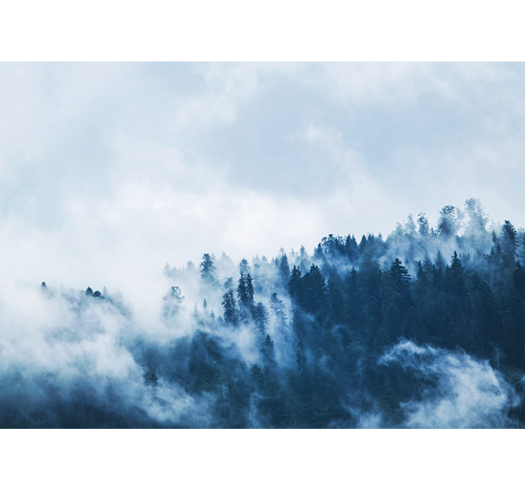 Fototapet natur skog med tåke landskap - Tenstickers