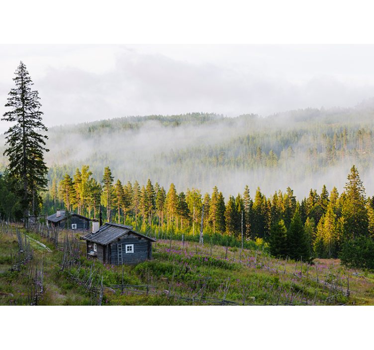 Tåkete skog fototapet landskap - Tenstickers