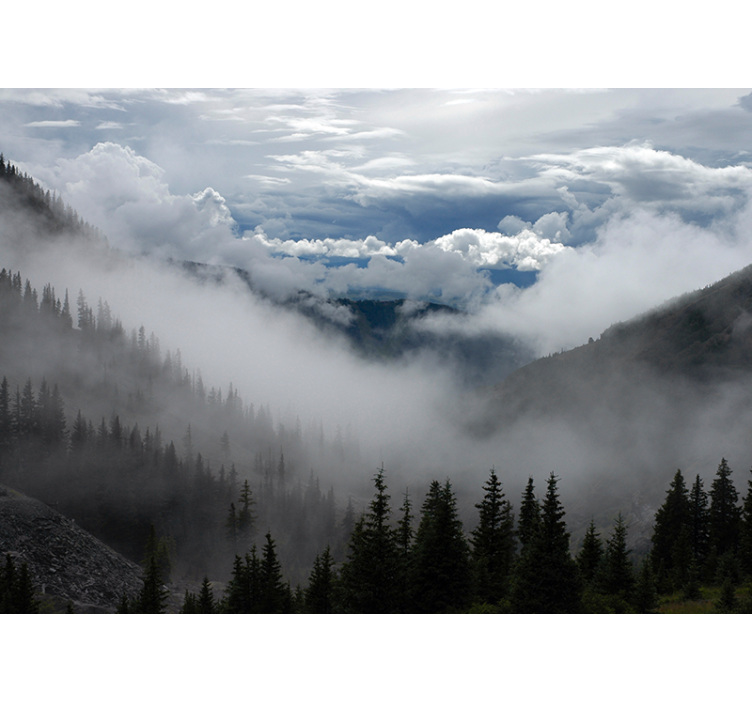 Tåkete skoglandskap fototapet landskap - Tenstickers