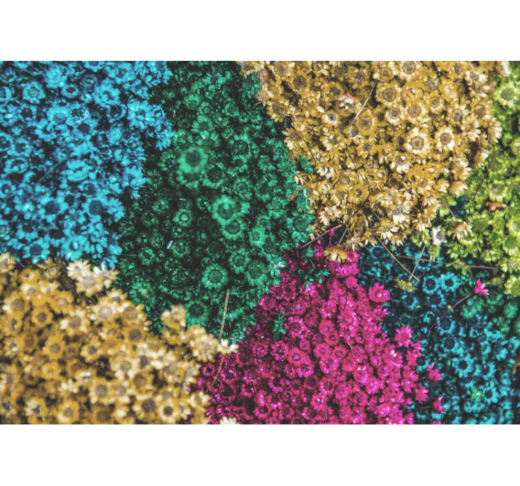 Fototapet blomster fargerike blomsterdesign - Tenstickers