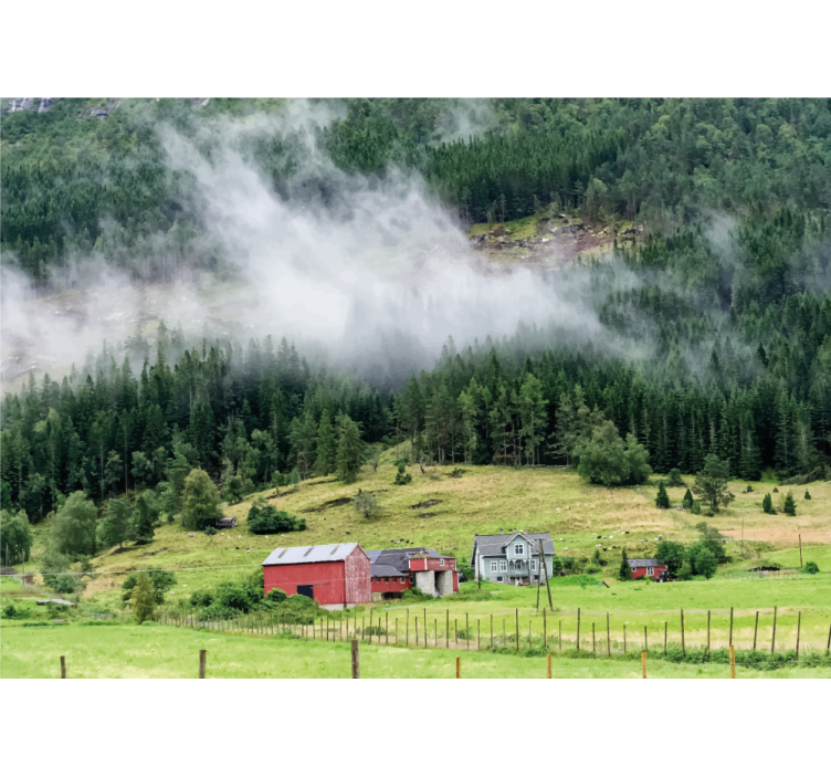 Norsk skog fototapet natur - Tenstickers