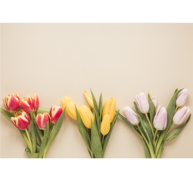 Fototapet blomster fargerik tulipanarrangement - Tenstickers