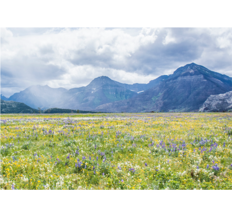 Fototapet landskap fjellblomstereng - Tenstickers