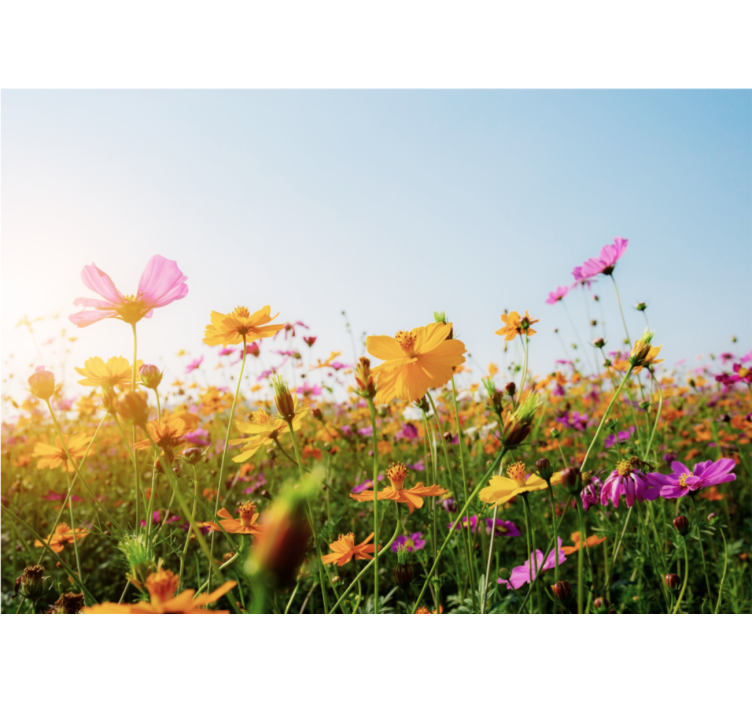 Blanding av blomstertyper fototapet blomster - Tenstickers