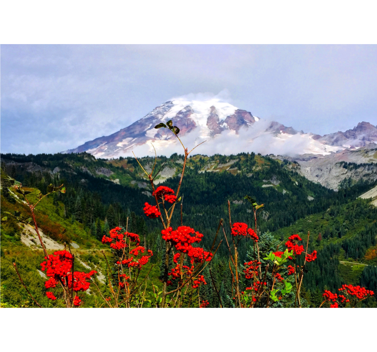 Fjell og røde blomster fototapet blomster - Tenstickers