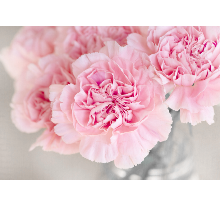 Fototapet blomster nydelige rosa blomster - Tenstickers