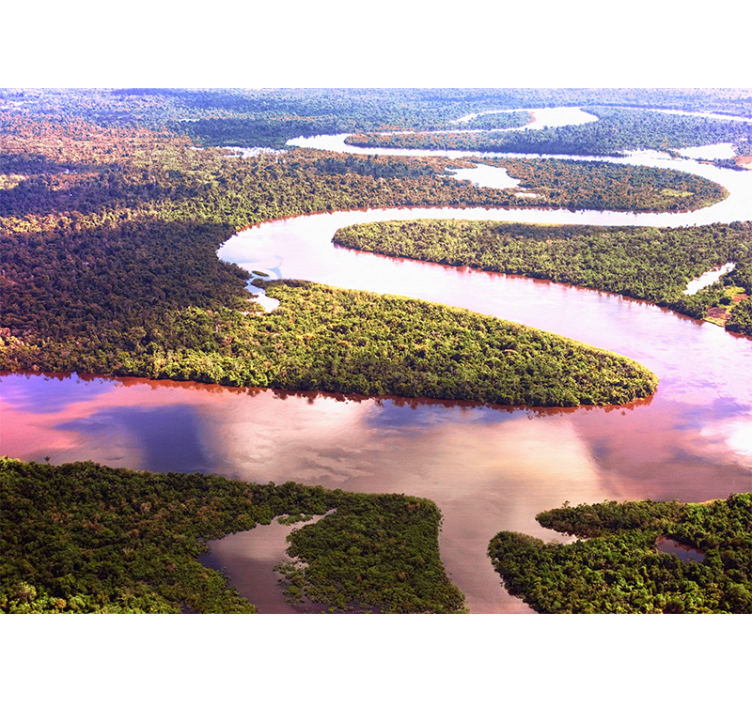 Amazon-elven fototapet natur - Tenstickers