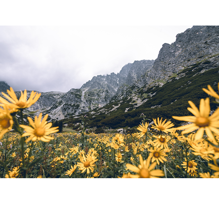 Fototapet blomster gult blomstereng - Tenstickers