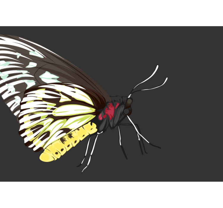 Gul sommerfugl design fototapet - Tenstickers