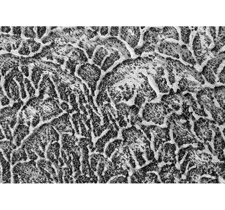 Fototapet tekstur organisk mønster - Tenstickers