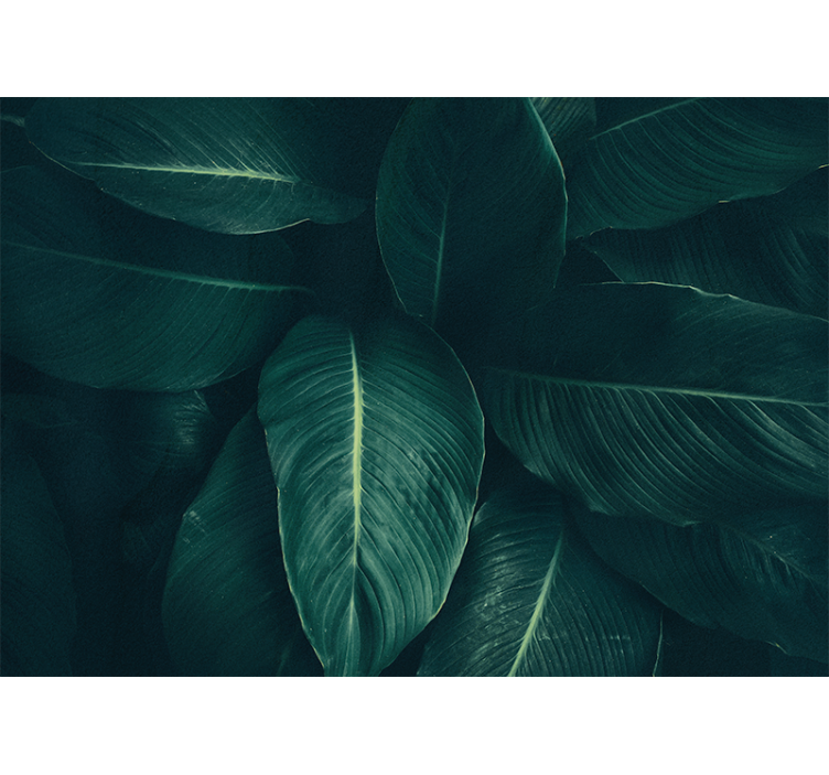 Fototapet natur frodig bladstruktur - Tenstickers