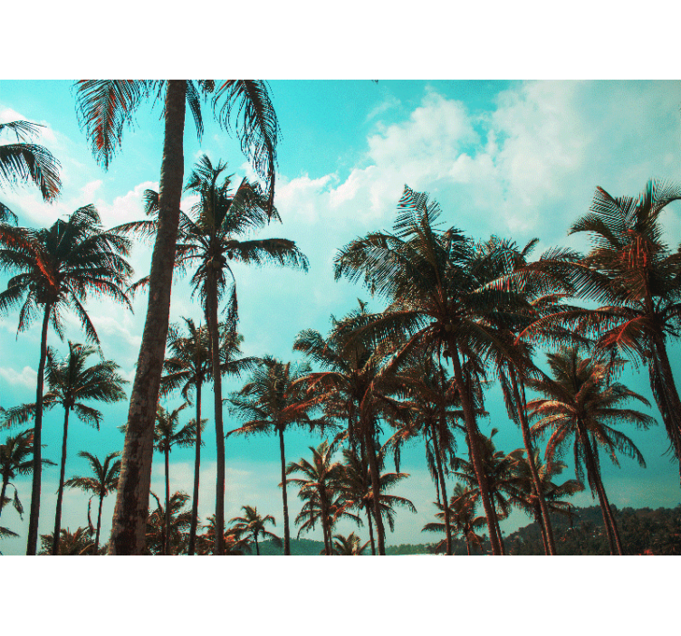 Fototapet natur palmesus paradis - Tenstickers