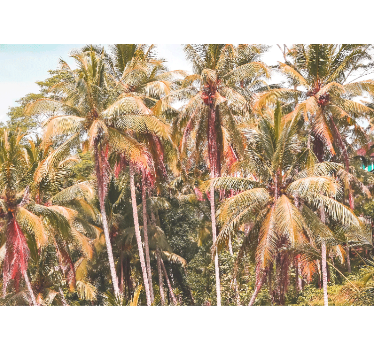Fototapet natur lush palm forest - Tenstickers
