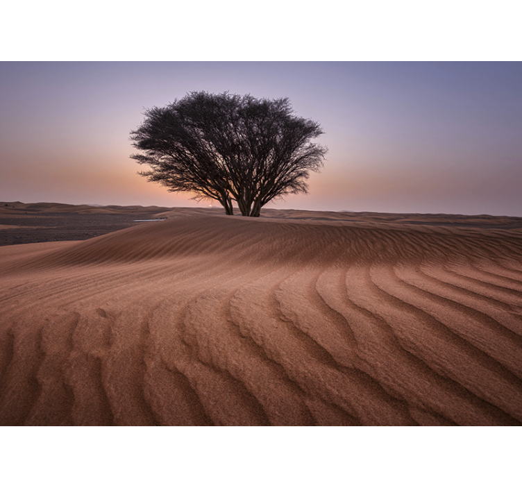 Tre i ørkenlandskap fototapet stue - Tenstickers