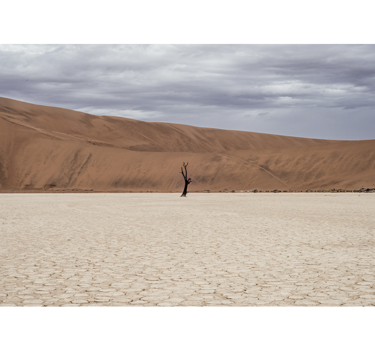 ørkenlandskap fototapet ørken - Tenstickers