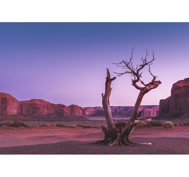 Fototapet landskap ørken steinstruktur - Tenstickers