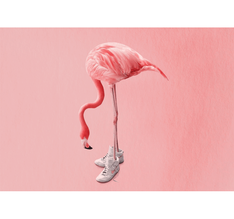 Fototapet dyr flamingo i joggesko - Tenstickers