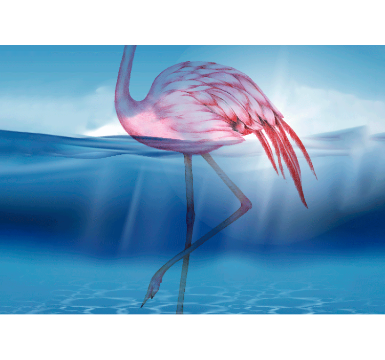 Fototapet dyr elegant flamingo stående - Tenstickers