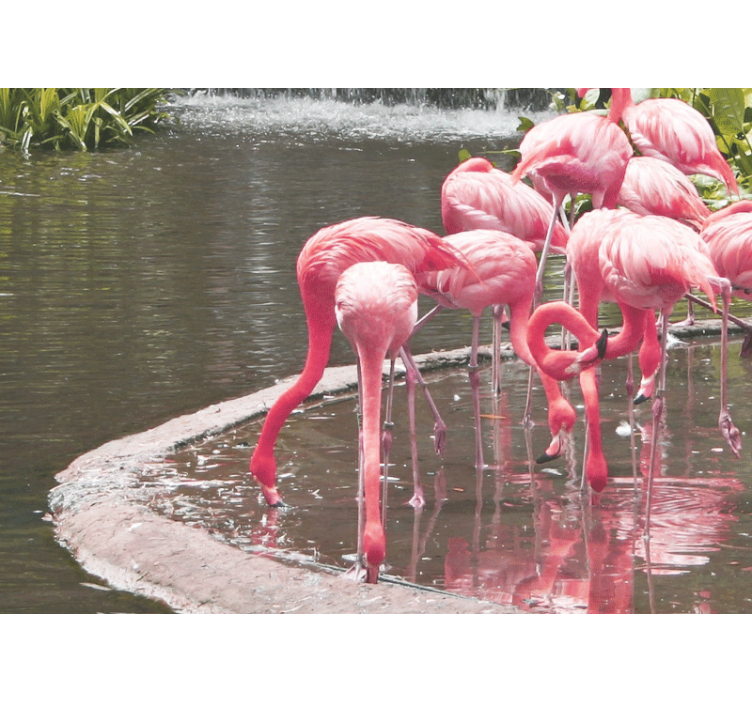 Fine landskap rosa flamingoer fototapet stue - Tenstickers