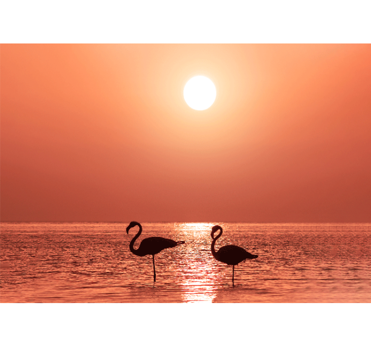 Fototapet dyr flamingo solnedgangslandskap - Tenstickers