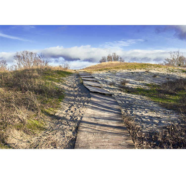 Solrik strand med en tresti fototapet natur - Tenstickers