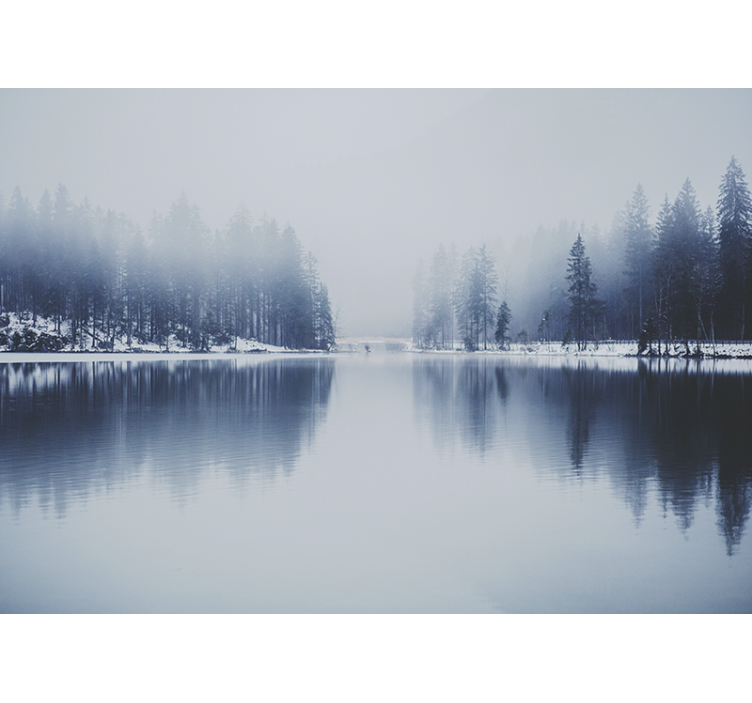 Vinter tåkeskog fototapet natur - Tenstickers