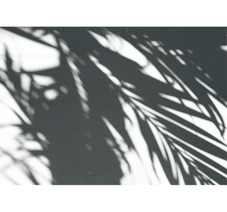 Silhuett, palmetre, skygge fototapet stue - Tenstickers