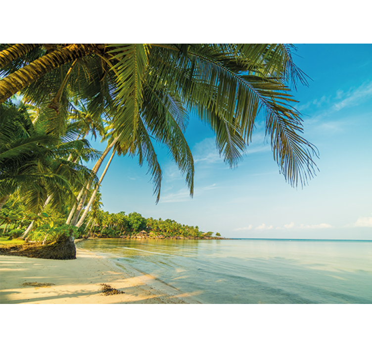 Fototapet natur rolig strandscene - Tenstickers