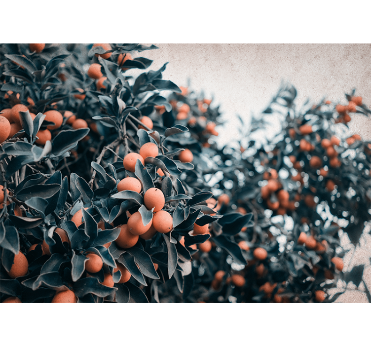 Fototapet blomster sitrusfruktgren - Tenstickers