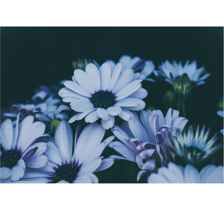 Fototapet blomster rolig blomsteroppsett - Tenstickers